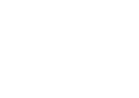 European Commission