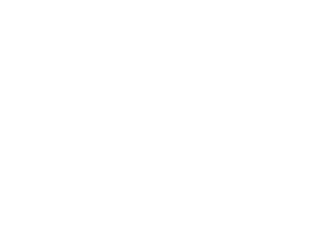 Council of Europe